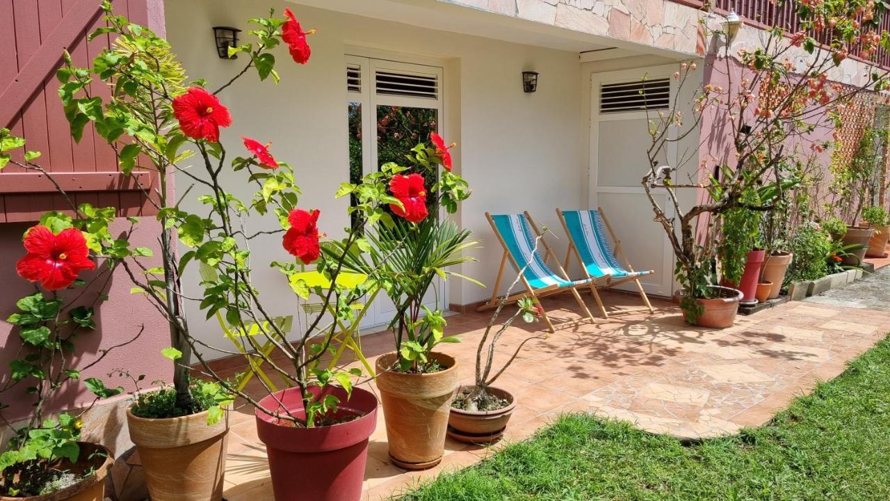 La Visite Tropicale Apartment Riviere-Pilote ภายนอก รูปภาพ